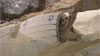 Watch the Mars Exploration Rover Update