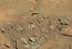 Bone up on Mars Rock Shapes