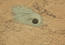 Drilled Hole and ChemCam Marks at 'Cumberland'