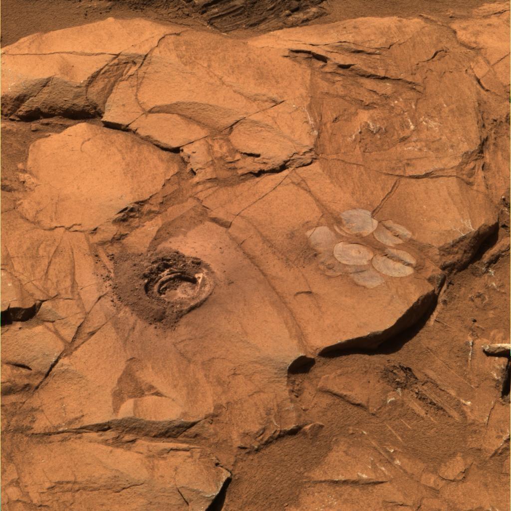 At a rock called "Clovis," the rock abrasion tool on Spirit cut a 9-millimeter (0.35-inch) hole. To the right of the drill hole is a "brush flower" of circles produced by scrubbing the surface of the rock with the abrasion tool's wire brush.