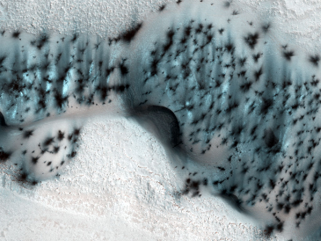 These barchan (crescent-shaped) sand dunes are found within the North Polar erg of Mars.