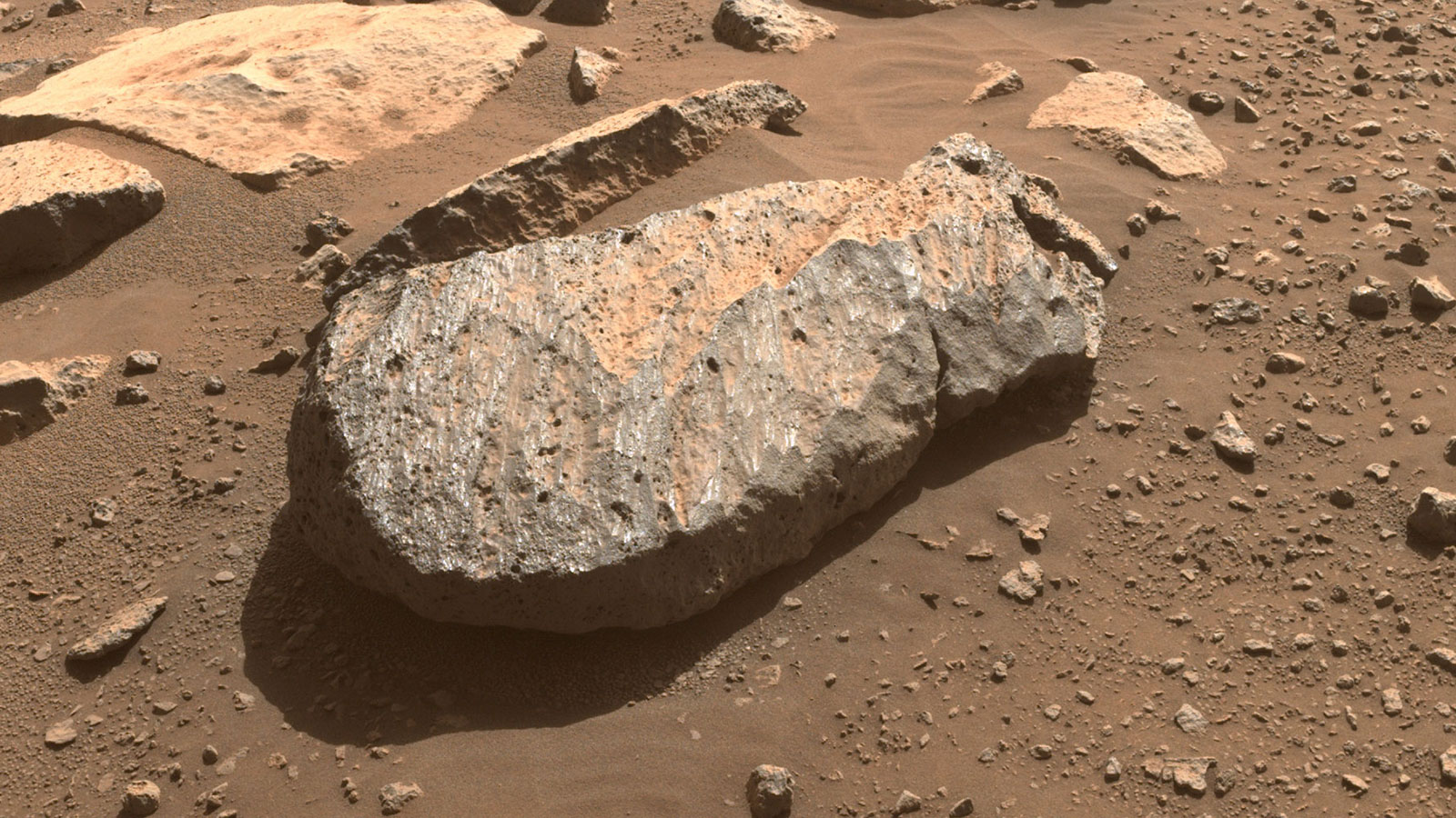 Perseverance at ‘Rochette’: A close-up of the rock, nicknamed “Rochette,” that the Perseverance science team will examine in order to determine whether to take a rock core sample from it. 