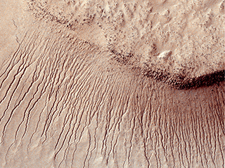 Determine whether life ever arose on Mars