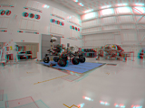 Fish-eye View of Curiosity Rover and its Rocket-Powered Descent Vehicle