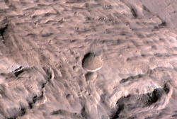 Large, Fresh Crater Surrounded by Smaller Craters