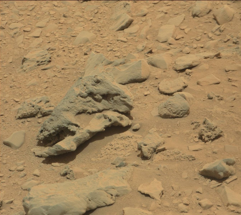 Fossils on Mars A Collection of Evidence