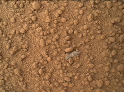 Small Debris on the Ground Beside Curiosity