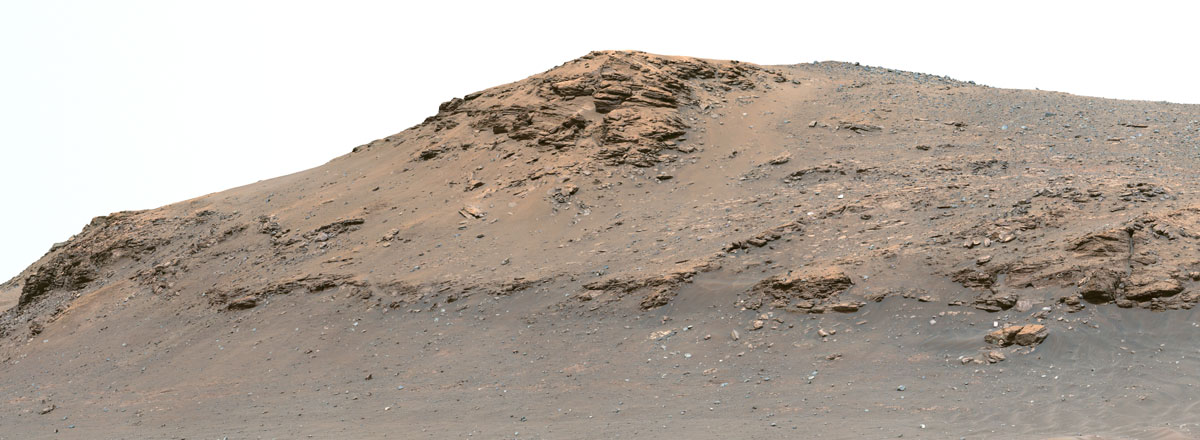 To Sample or Not to Sample