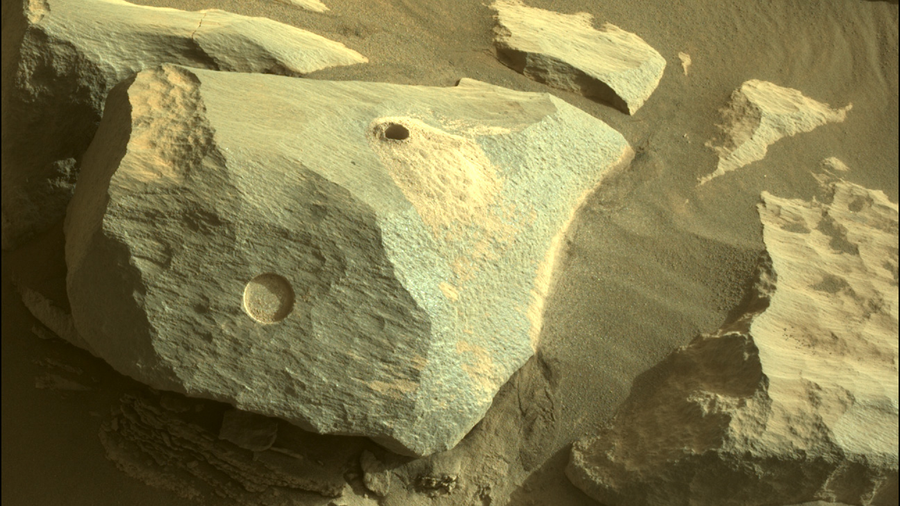 Meet the Mars Samples