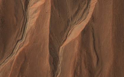 View image for Gullies at the Edge of Hale Crater, Mars