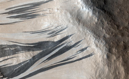This observation shows a portion of the wall (light-toned material) and floor of a trough in the Acheron Fossae region of Mars. Many dark and light-toned slope streaks are visible on the wall of the trough surrounded by dunes.