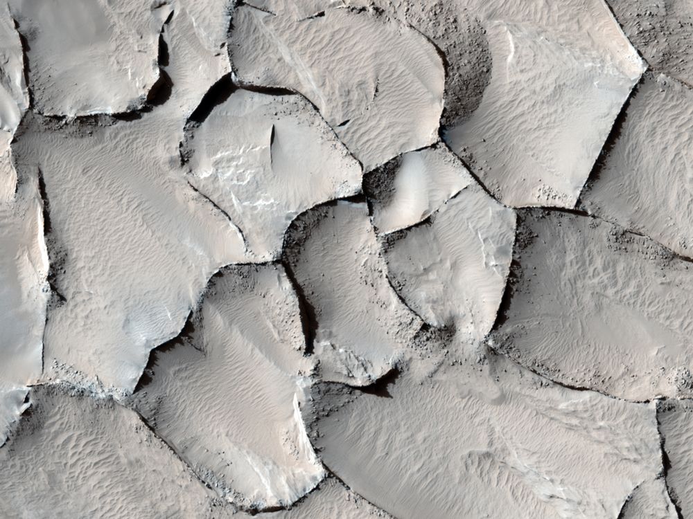 Polygonal Ridge in Gordii Dorsum Region, Mars
