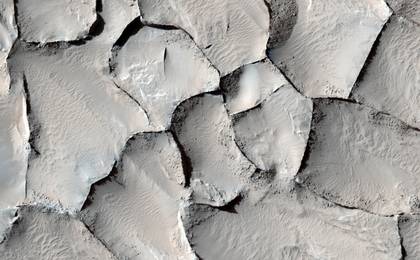 Polygonal Ridge in Gordii Dorsum Region, Mars