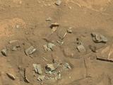 This Mars rock may look like a femur thigh bone, but its shape is likely sculpted by erosion, either wind or water.