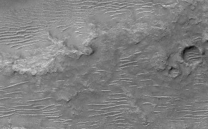 This is a Mars Orbiter Camera view of the cratered uplands located between the Amenthes Fossae and Hesperia Planum. This ancient, cratered surface sports a covering of windblown dunes and ripples oriented in somewhat different directions. The dunes are bigger and their crests generally run east-west across the image. The ripples are smaller and their crests run in a more north-south direction. The pattern they create together makes some of the dunes almost appear as if they are giant millipedes! This picture covers an area only 3 kilometers (1.9 miles) wide. Illumination is from the top.