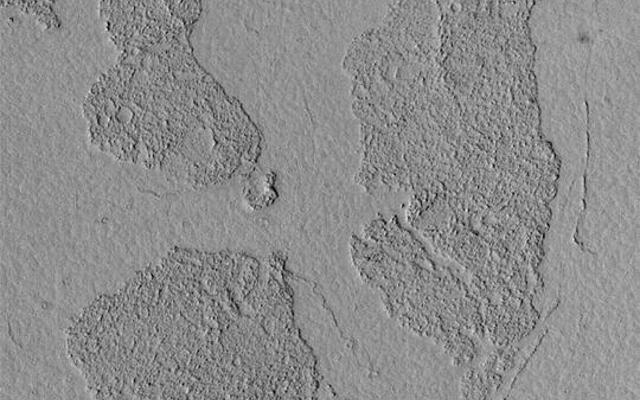 The Marte Vallis system, located east of Cerberus and west of Amazonis Planitia, is known for its array of broken, platy flow features. This Mars Global Surveyor (MGS) Mars Orbiter Camera (MOC) image shows a close-up view of some of these plates; they appear to be like puzzle pieces that have been broken apart and moved away from each other. The Mars science community has been discussing these features for the past several years--either the flows in Marte Vallis are lava flows, or mud flows. In either case, the material was very fluid and had a thin crust on its surface. As the material continued to flow through the valley system, the crust broke up into smaller plates that were then rafted some distance down the valley. This picture is located near 6.9°N, 182.8°W. It is illuminated by sunlight from the left.