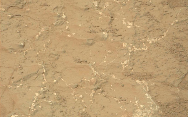 Light-toned nodules and veins are visible in this image from NASA's Mars rover Curiosity of a patch of sedimentary rock called "Knorr."