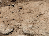 This patch of bedrock, called "Cumberland," has been selected as the second target for drilling by NASA's Mars rover Curiosity.