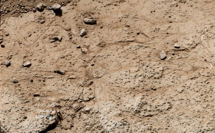 This patch of bedrock, called "Cumberland," has been selected as the second target for drilling by NASA's Mars rover Curiosity.