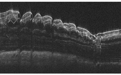 This is an unlabeled radargram from the Shallow Radar instrument on NASA's Mars Reconnaissance Orbiter, showing a cross-section of Mars' north polar cap, based on time lags of radio-wave echoes returning from different layers.