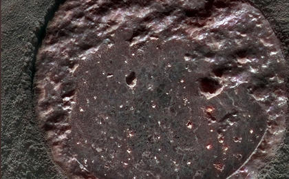 This false-color image shows a close-up look at the rock dubbed "Humphrey."