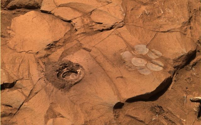 At a rock called "Clovis," the rock abrasion tool on Spirit cut a 9-millimeter (0.35-inch) hole.  To the right of the drill hole  is a "brush flower" of circles produced by scrubbing the surface of the rock with the abrasion tool's wire brush.