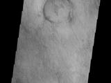 The dunes and dust devil tracks in this VIS image are located on the plains of Planum Chronium.