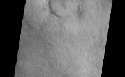 The dunes and dust devil tracks in this VIS image are located on the plains of Planum Chronium.