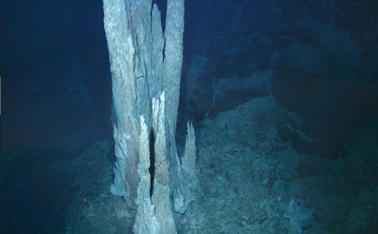 This image shows the floor of the Atlantic Ocean (blue hue) with a big limestone formation in the middle.  Several towers of limestone, jet out from the ocean floor.