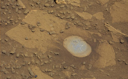 NASA's Curiosity Mars rover used its Dust Removal Tool to brush aside reddish dust, revealing gray, less-oxidized rock material at a target called "Bonanza King," visible in this Aug. 17, 2014, image from the rover's Mastcam. The rover team is evaluating this rock as a possible drilling target.