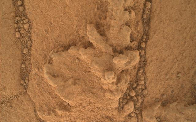 This image from the Mars Hand Lens Imager (MAHLI) camera on NASA's Curiosity Mars rover shows an example of a type of geometrically distinctive feature that researchers are examining at a mudstone outcrop at the base of Mount Sharp.