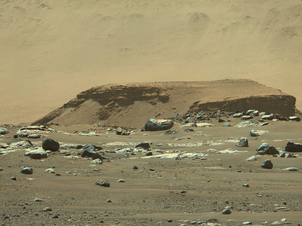 From its landing site, “Octavia E. Butler Landing,” NASA’s Perseverance rover can see a remnant of a fan-shaped deposit of sediments known as a delta (the raised area of dark brown rock in the middle ground) with its Mastcam-Z instrument.