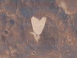 This picture of a heart-shaped feature in Arabia Terra on Mars was taken on May 23, 2010, by the Context Camera (CTX) on NASA's Mars Reconnaissance Orbiter.