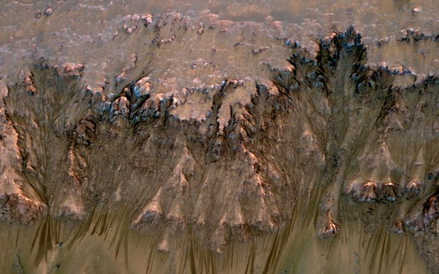 An image combining orbital imagery with 3-D modeling shows flows that appear in spring and summer on a slope inside Mars' Newton crater.