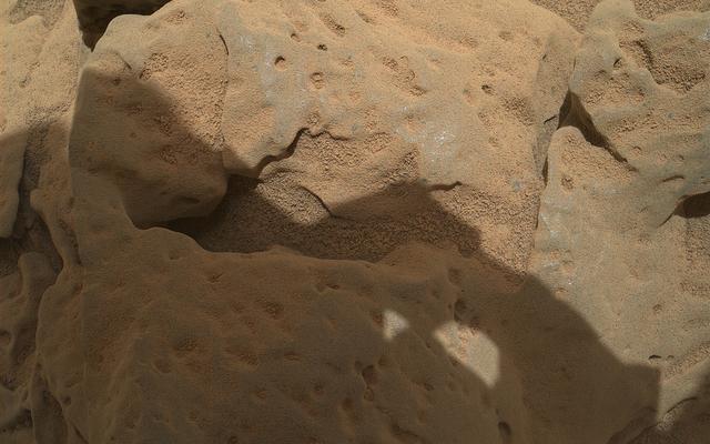 This focus-merge image from the Mars Hand Lens Imager (MAHLI) on the arm of NASA's Mars rover Curiosity shows a rock called "Burwash." The rock has a coating of dust on it. The coarser, visible grains are windblown sand.