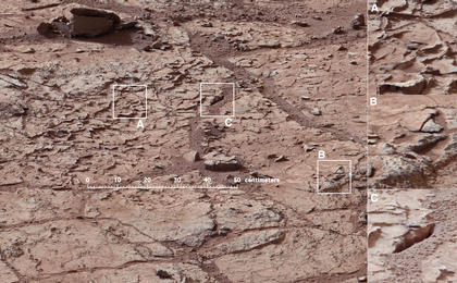 This view shows the patch of veined, flat-lying rock selected as the first drilling site for NASA's Mars rover Curiosity.