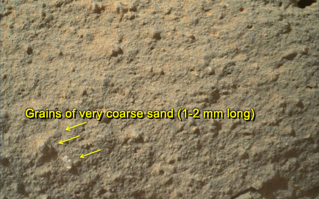 This image from NASA's Curiosity rover shows the great diversity of grains found on the surface of a Martian rock.