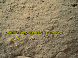This image from NASA's Curiosity rover shows the great diversity of grains found on the surface of a Martian rock.