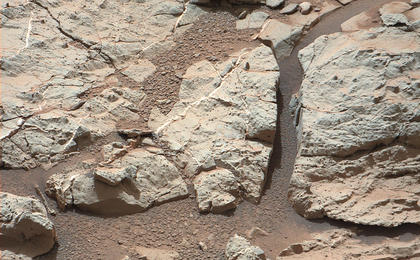 This image of an outcrop at the "Sheepbed" locality, taken by NASA's Curiosity Mars rover with its right Mast Camera (Mastcam), shows well-defined veins filled with whitish minerals, interpreted as calcium sulfate.