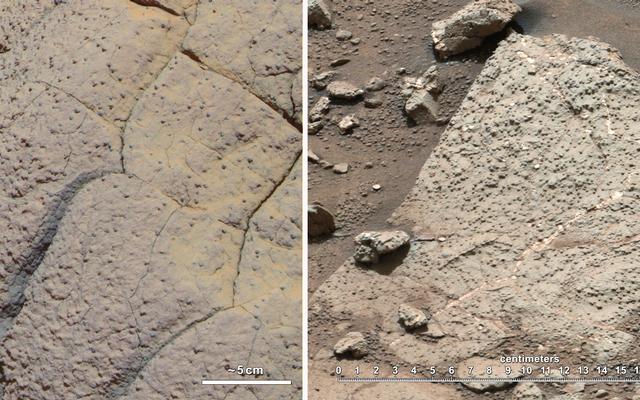 This set of images compares rocks seen by NASA's Opportunity rover and Curiosity rover at two different parts of Mars.