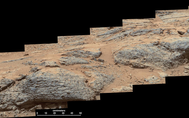 This mosaic view from the Mast Camera (Mastcam) on NASA's Mars rover Curiosity shows textural characteristics and shapes of an outcrop called "Point Lake."