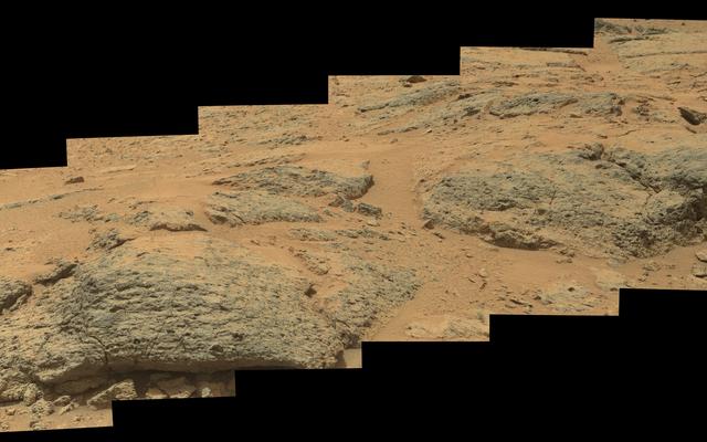 This mosaic view from the Mast Camera (Mastcam) on NASA's Mars rover Curiosity shows textural characteristics and shapes of an outcrop called "Point Lake."