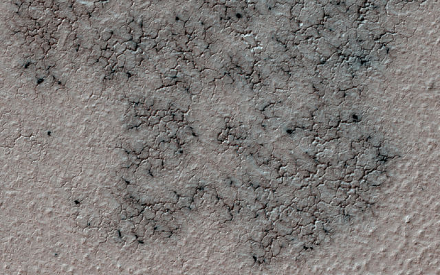 This image shows spidery channels eroded into Martian ground. It is a Sept. 12, 2016, example from HiRISE camera high-resolution observations of more than 20 places that were chosen in 2016 on the basis of about 10,000 volunteers' examination of Context Camera lower-resolution views of larger areas.