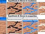 This graphic portrays two hypotheses about how the element boron ended up in calcium sulfate veins found within mudstone layers of Mars' lower Mount Sharp.