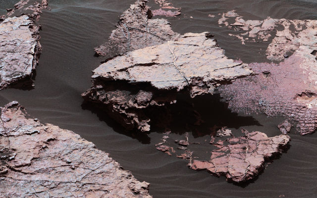 A grid of small polygons on the Martian rock surface near the right edge of this view may have originated as cracks in drying mud more than 3 billion years ago. Multiple Dec. 20, 2016, images from the Mastcam on NASA's Curiosity Mars rover were combined for this view of a rock called "Squid Cove."