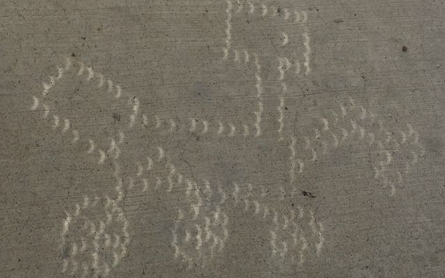 Curiosity science team member Fred Calef's unique pinhole viewer showing crescent shadows during the eclipse.