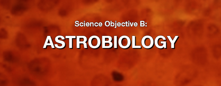 Objective B: Biosignatures