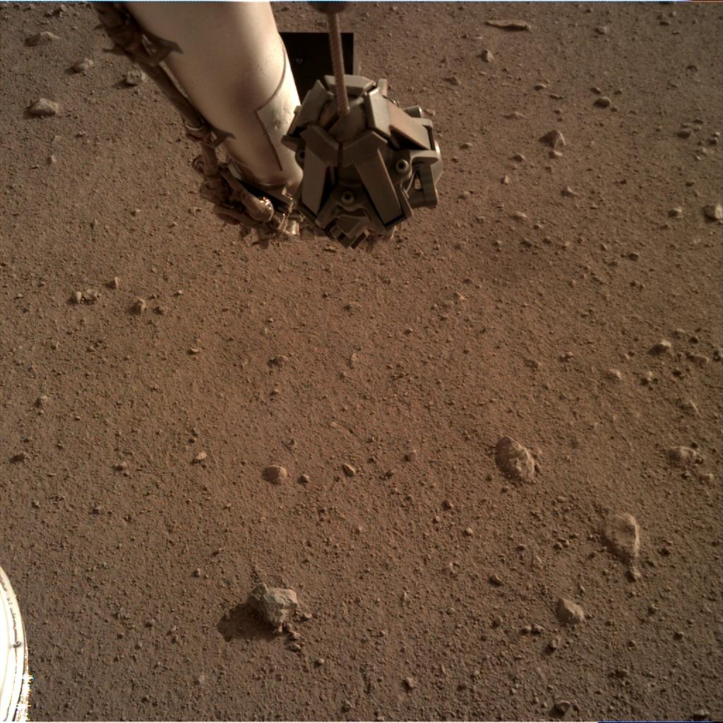 Nasa's Mars lander InSight acquired this image using its Instrument Deployment Camera on Sol 110