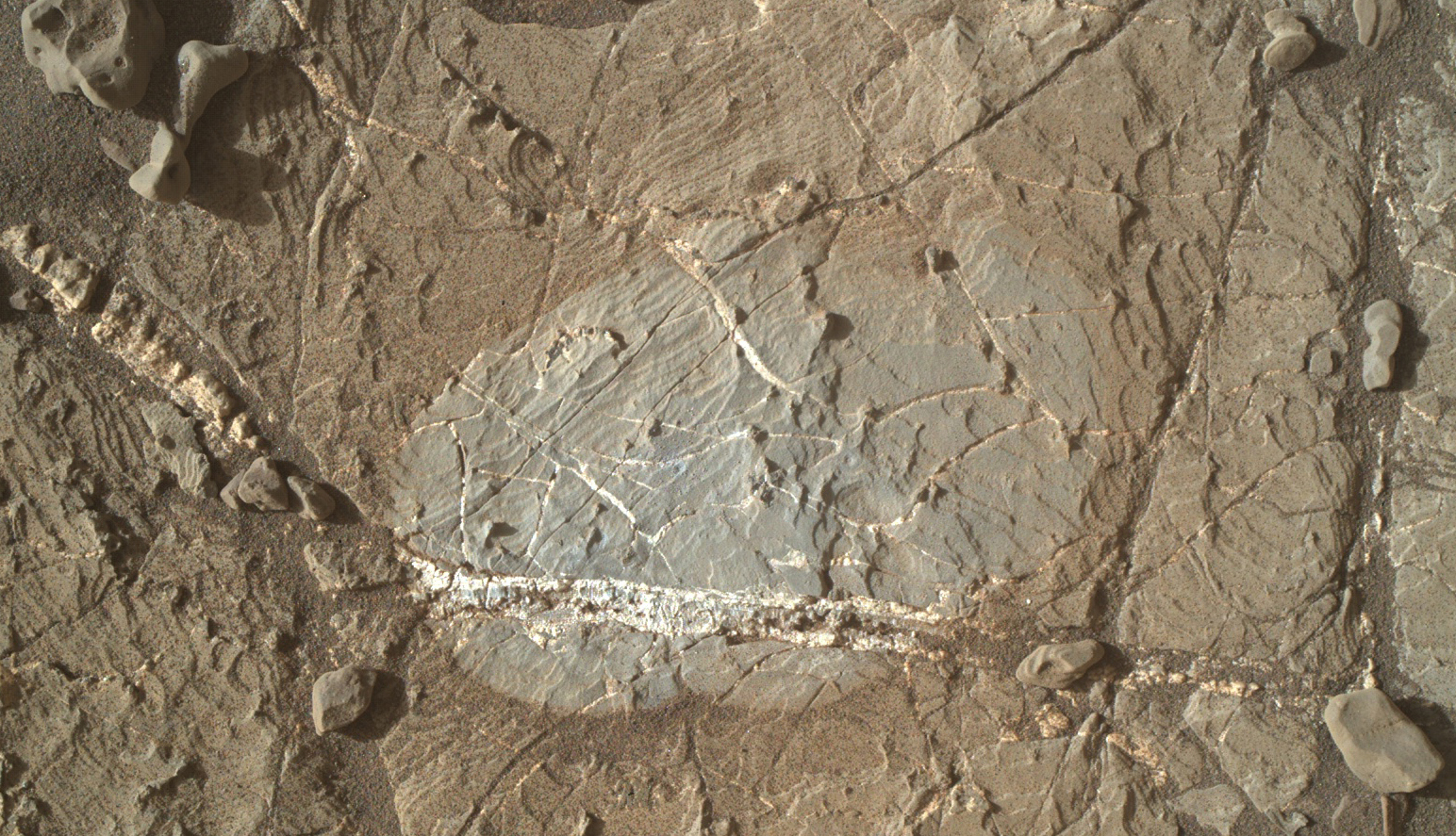 mineral veins in rock