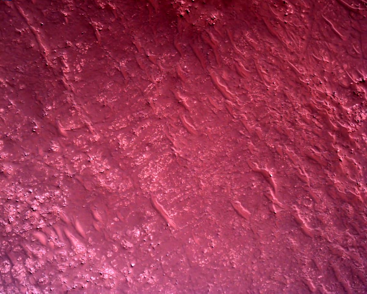 This image was taken by EDL_RDCAM onboard NASA's Mars rover Perseverance on Sol 2